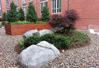 commercial-landscape-design-albany-medical-4