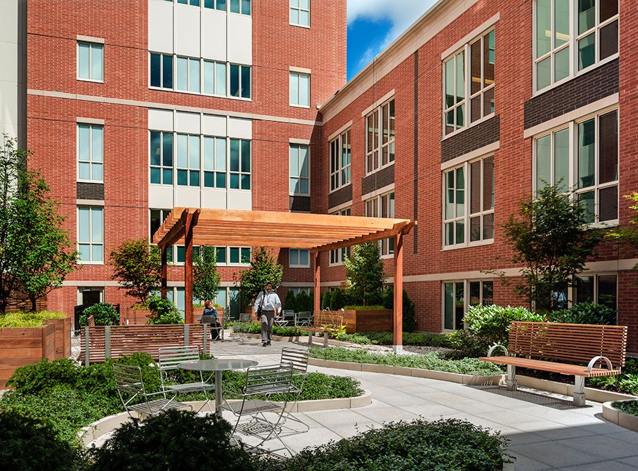 commercial-landscape-design-albany-medical-1